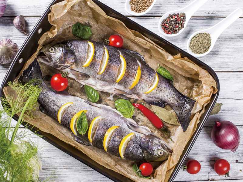 為什麼全世界的飲食指南都鼓勵吃魚